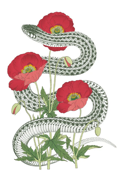 Natural Beauty II Crop by Wild Apple Portfolio. SKU 56875h. Archival Giclee Fine art print for wall decor.