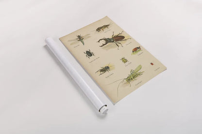 Natural History Book IV by Wild Apple Portfolio. shown as a rolled paper print. Available as archival giclee rolled canvas, fine art paper, or poster print. SKU 54283h.