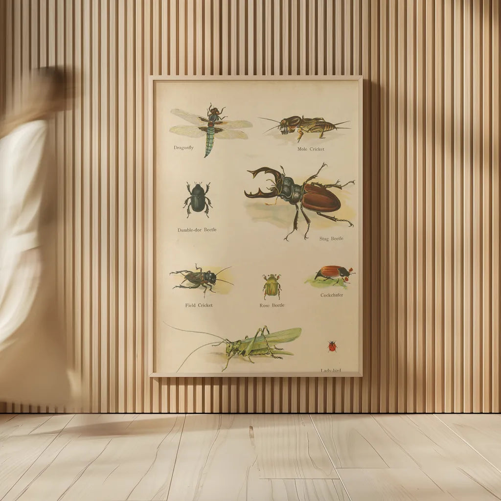 Natural History Book IV by Wild Apple Portfolio. shown as over sized large wall art. Available as an archival giclee rolled canvas, fine art paper, or poster print. SKU 54283h.