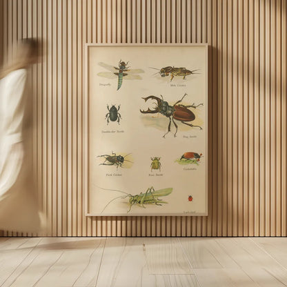 Natural History Book IV by Wild Apple Portfolio. shown as over sized large wall art. Available as an archival giclee rolled canvas, fine art paper, or poster print. SKU 54283h.