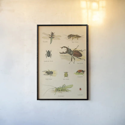 Natural History Book IV by Wild Apple Portfolio. shown as a paper print in a black flame. Available as a archival giclee rolled canvas, fine art paper, or poster print. SKU 54283h.