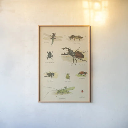 Natural History Book IV by Wild Apple Portfolio. shown as a paper print in a natural frame. Available as a archival giclee rolled canvas, fine art paper, or poster print. SKU 54283h.