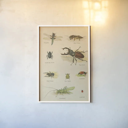 Natural History Book IV by Wild Apple Portfolio. shown as a paper print in a white frame. Available as a archival giclee rolled canvas, fine art paper, or poster print. SKU 54283h.