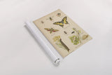 Natural History Book VI by Wild Apple Portfolio. shown as a rolled paper print. Available as archival giclee rolled canvas, fine art paper, or poster print. SKU 54284h.