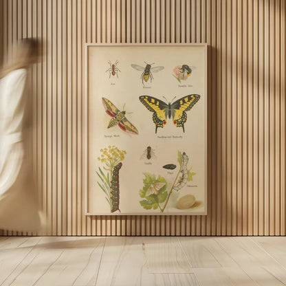Natural History Book VI by Wild Apple Portfolio. shown as over sized large wall art. Available as an archival giclee rolled canvas, fine art paper, or poster print. SKU 54284h.