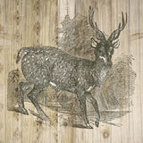 Natural History Lodge III by Wild Apple Portfolio. SKU 18654a. Archival Giclee Fine art print for wall decor.