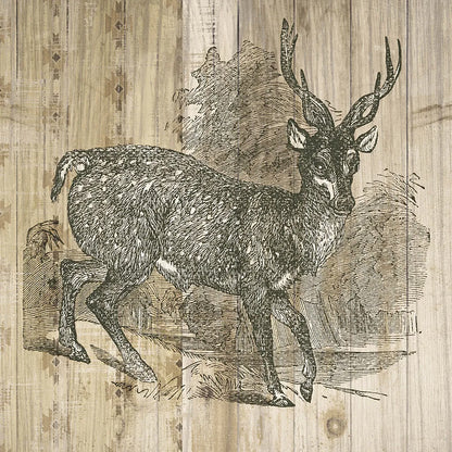 Natural History Lodge III by Wild Apple Portfolio. SKU 18654a. Archival Giclee Fine art print for wall decor.