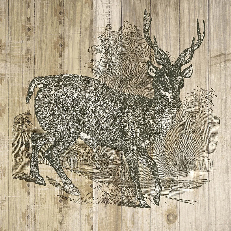 Natural History Lodge III by Wild Apple Portfolio. SKU 18654a. Archival Giclee Fine art print for wall decor.