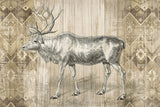 Natural History Lodge IX by Wild Apple Portfolio. SKU 21835i. Archival Giclee Fine art print for wall decor.