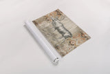 Natural History Lodge Southwest IX by Wild Apple Portfolio. shown as a rolled paper print. Available as archival giclee rolled canvas, fine art paper, or poster print. SKU 22448i.