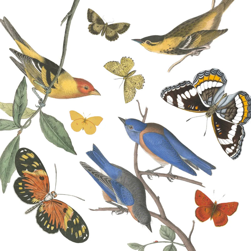 Natures Flight I No Ferns by Wild Apple Portfolio. SKU 80601a. Archival Giclee Fine art print for wall decor.