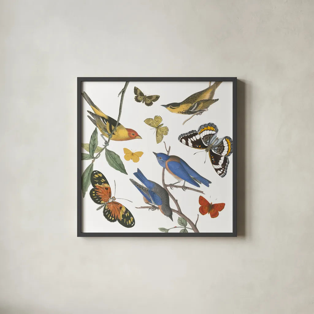 Natures Flight I No Ferns by Wild Apple Portfolio. Shown in a sleek black glass frame for a contemporary gallery look. Available as an archival giclee rolled canvas, fine art paper, or poster print. SKU 80601a.