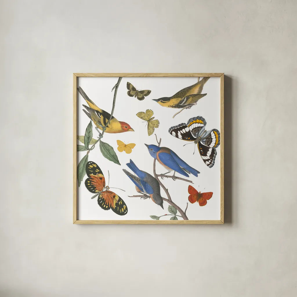 Natures Flight I No Ferns by Wild Apple Portfolio. Shown in a natural wood glass frame for a timeless modern aesthetic. Available as an archival giclee rolled canvas, fine art paper, or poster print. SKU 80601a.