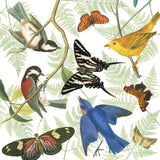 Natures Flight II by Wild Apple Portfolio. SKU 48423a. Archival Giclee Fine art print for wall decor.