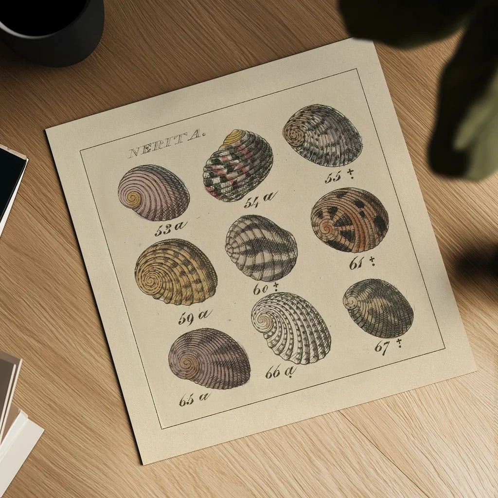 Nertia by Wild Apple Portfolio. Shown as a detailed flat fine art print, highlighting archival giclee quality. Available as an archival giclee rolled canvas, fine art paper, or poster print. SKU 10584a.