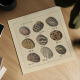 Nertia by Wild Apple Portfolio. Shown as a detailed flat fine art print, highlighting archival giclee quality. Available as an archival giclee rolled canvas, fine art paper, or poster print. SKU 10584a.