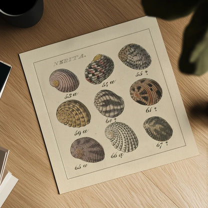 Nertia by Wild Apple Portfolio. Shown as a detailed flat fine art print, highlighting archival giclee quality. Available as an archival giclee rolled canvas, fine art paper, or poster print. SKU 10584a.