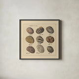 Nertia by Wild Apple Portfolio. Shown in a sleek black glass frame for a contemporary gallery look. Available as an archival giclee rolled canvas, fine art paper, or poster print. SKU 10584a.