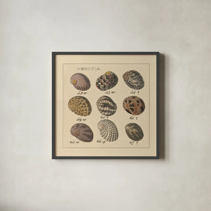 Nertia by Wild Apple Portfolio. Shown in a sleek black glass frame for a contemporary gallery look. Available as an archival giclee rolled canvas, fine art paper, or poster print. SKU 10584a.