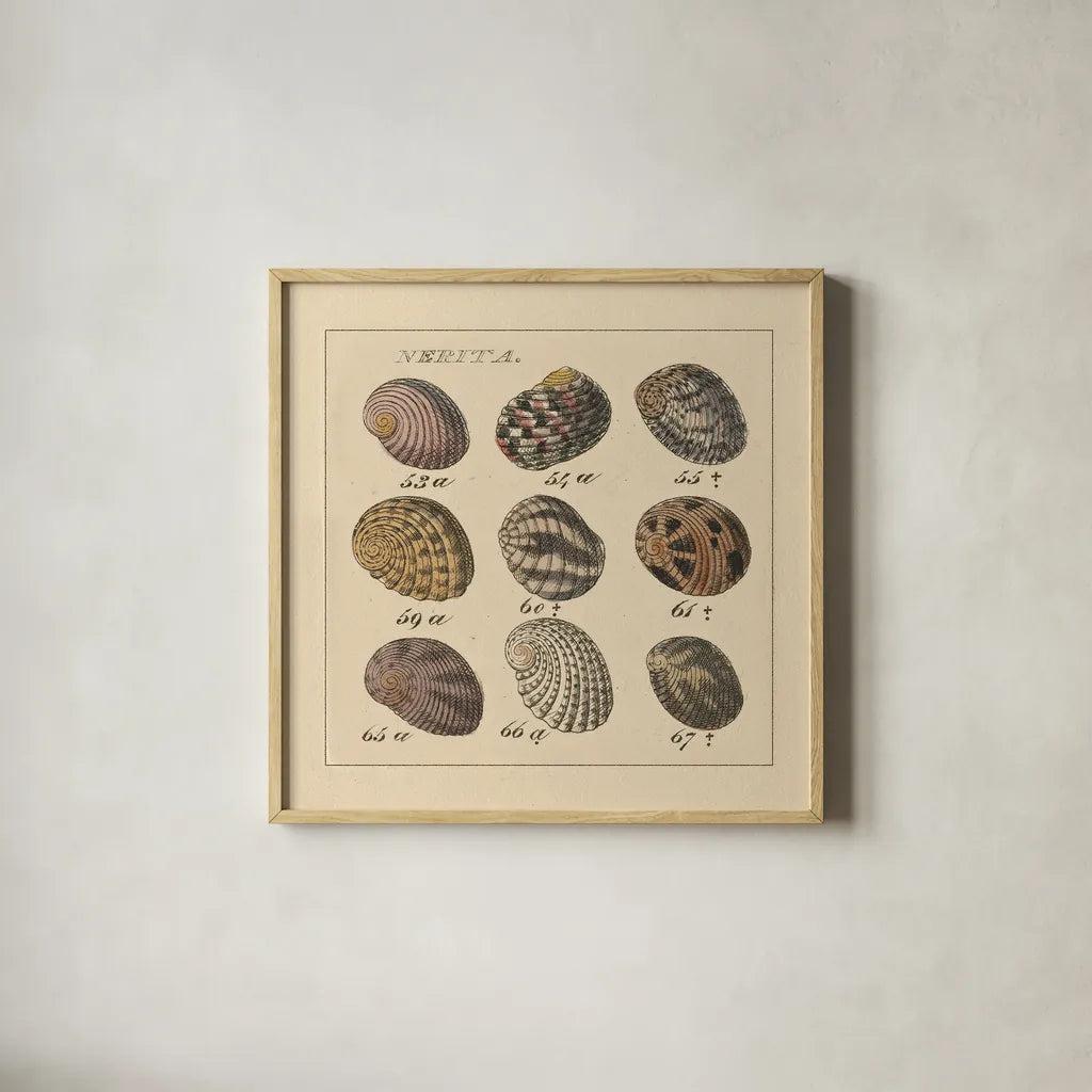 Nertia by Wild Apple Portfolio. Shown in a natural wood glass frame for a timeless modern aesthetic. Available as an archival giclee rolled canvas, fine art paper, or poster print. SKU 10584a.
