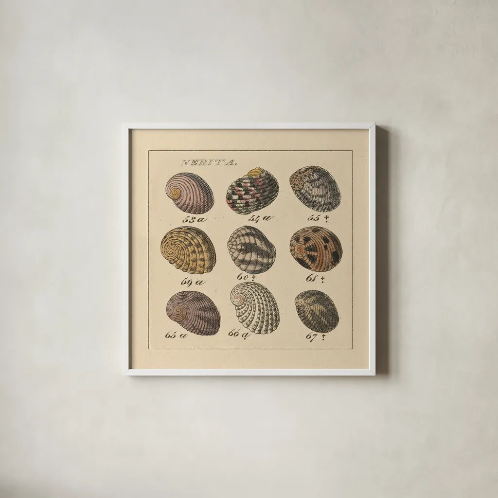 Nertia by Wild Apple Portfolio. Shown in a crisp white glass frame for a clean and minimalist style. Available as an archival giclee rolled canvas, fine art paper, or poster print. SKU 10584a.