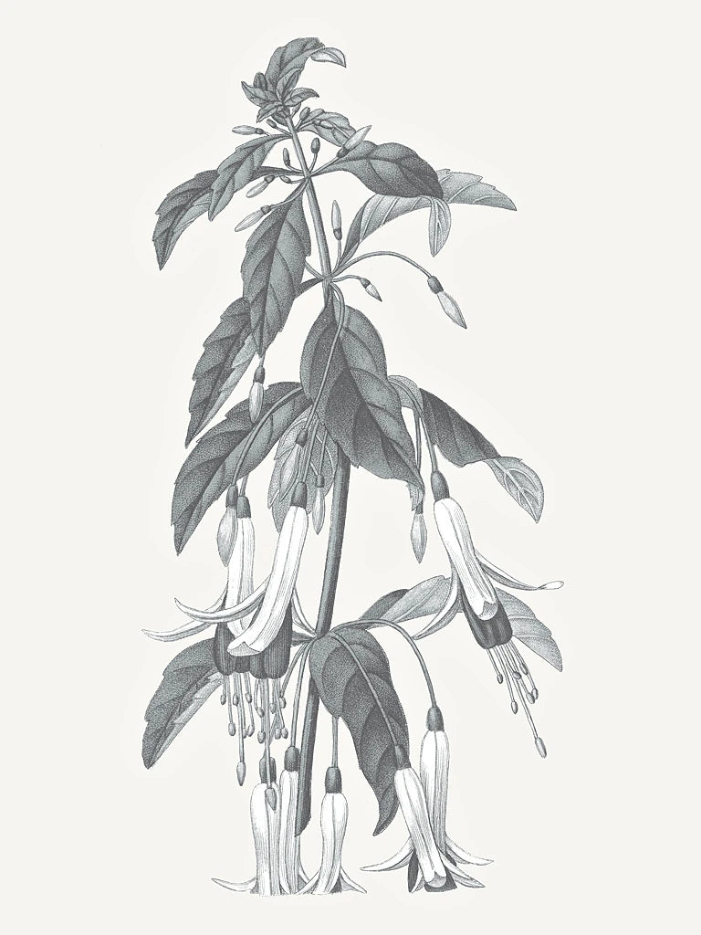 Neutral Botanical I by Wild Apple Portfolio