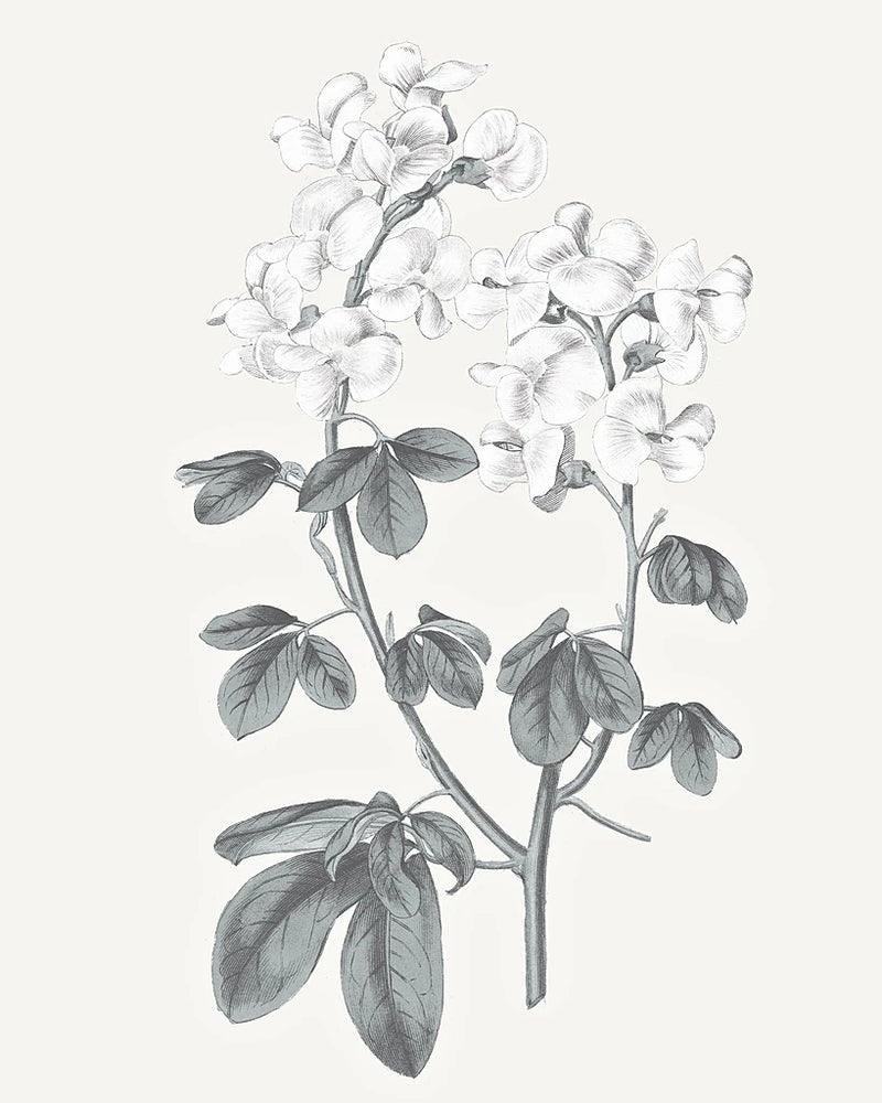 Neutral Botanical III by Wild Apple Portfolio