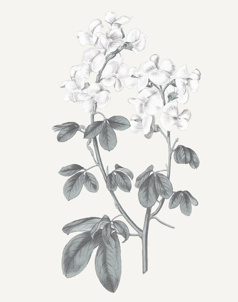 Neutral Botanical III by Wild Apple Portfolio