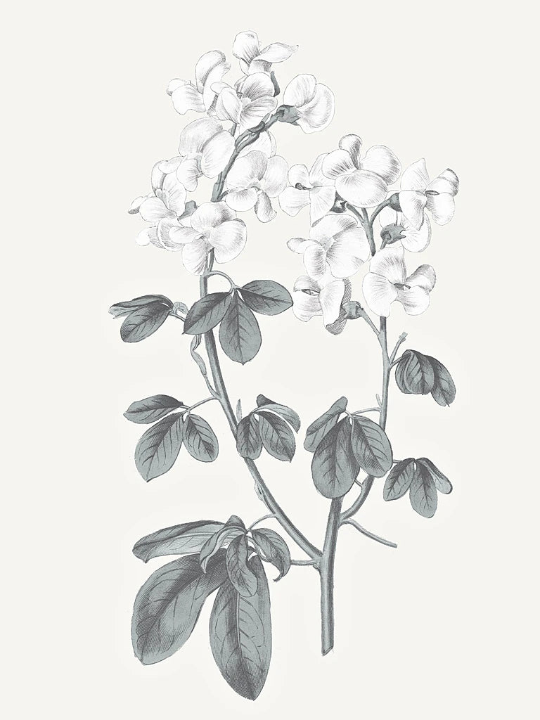 Neutral Botanical III by Wild Apple Portfolio
