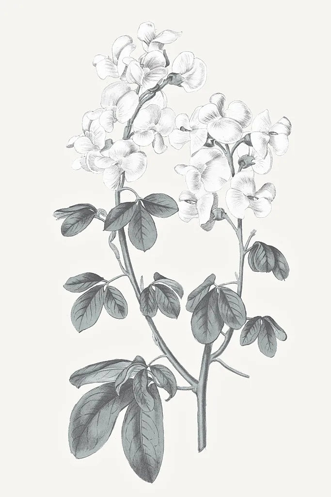 Neutral Botanical III by Wild Apple Portfolio. SKU 30694h. Archival Giclee Fine art print for wall decor.