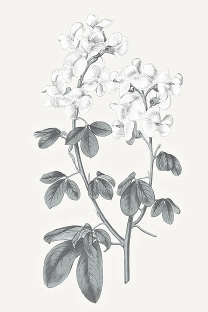 Neutral Botanical III by Wild Apple Portfolio. SKU 30694h. Archival Giclee Fine art print for wall decor.