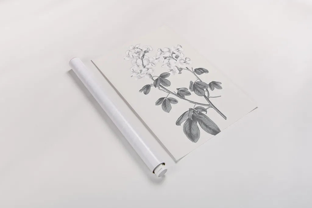 Neutral Botanical III by Wild Apple Portfolio. shown as a rolled paper print. Available as archival giclee rolled canvas, fine art paper, or poster print. SKU 30694h.