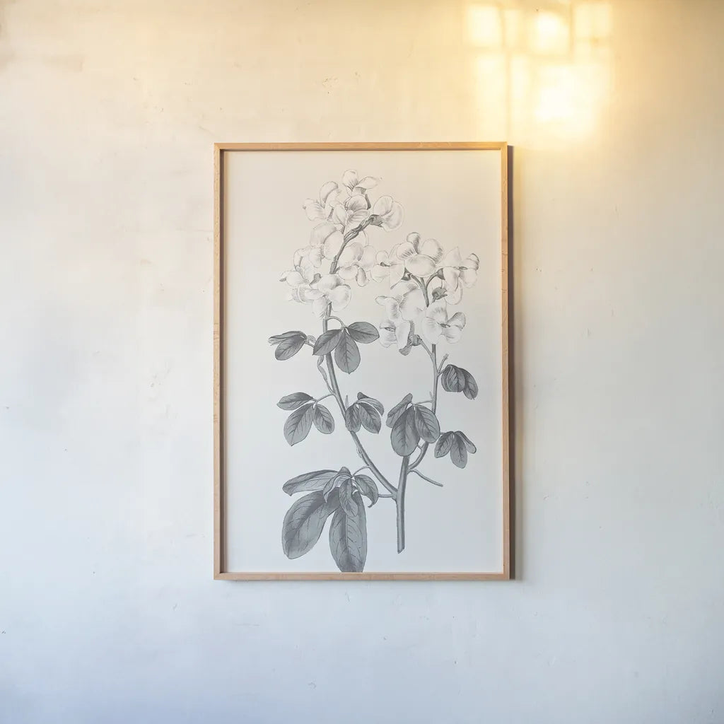 Neutral Botanical III by Wild Apple Portfolio. shown as a paper print in a natural frame. Available as a archival giclee rolled canvas, fine art paper, or poster print. SKU 30694h.