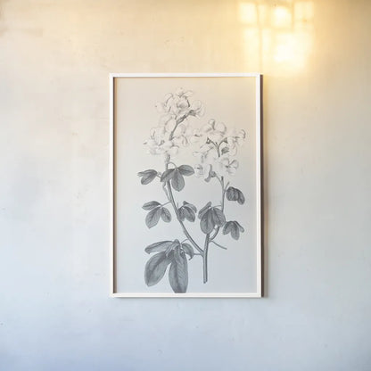 Neutral Botanical III by Wild Apple Portfolio. shown as a paper print in a white frame. Available as a archival giclee rolled canvas, fine art paper, or poster print. SKU 30694h.