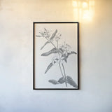 Neutral Botanical IV by Wild Apple Portfolio. shown as a paper print in a black flame. Available as a archival giclee rolled canvas, fine art paper, or poster print. SKU 30695h.