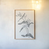 Neutral Botanical IV by Wild Apple Portfolio. shown as a paper print in a natural frame. Available as a archival giclee rolled canvas, fine art paper, or poster print. SKU 30695h.