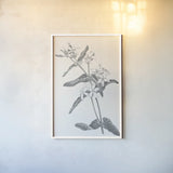 Neutral Botanical IV by Wild Apple Portfolio. shown as a paper print in a white frame. Available as a archival giclee rolled canvas, fine art paper, or poster print. SKU 30695h.