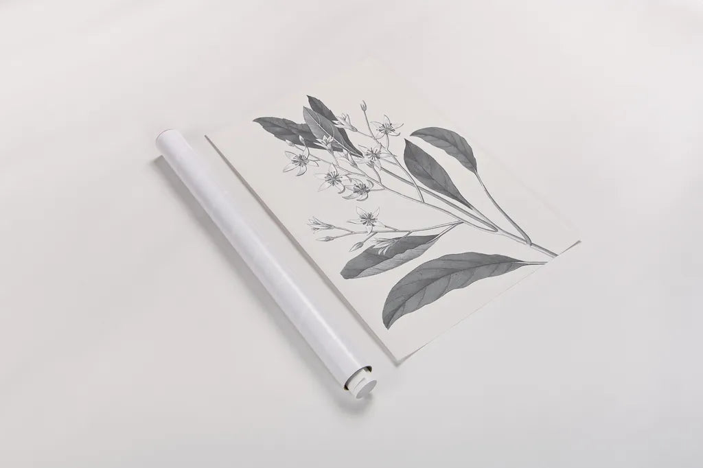 Neutral Botanical V by Wild Apple Portfolio. shown as a rolled paper print. Available as archival giclee rolled canvas, fine art paper, or poster print. SKU 30696h.