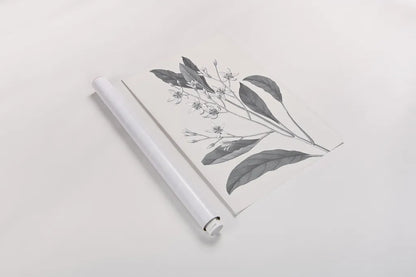Neutral Botanical V by Wild Apple Portfolio. shown as a rolled paper print. Available as archival giclee rolled canvas, fine art paper, or poster print. SKU 30696h.