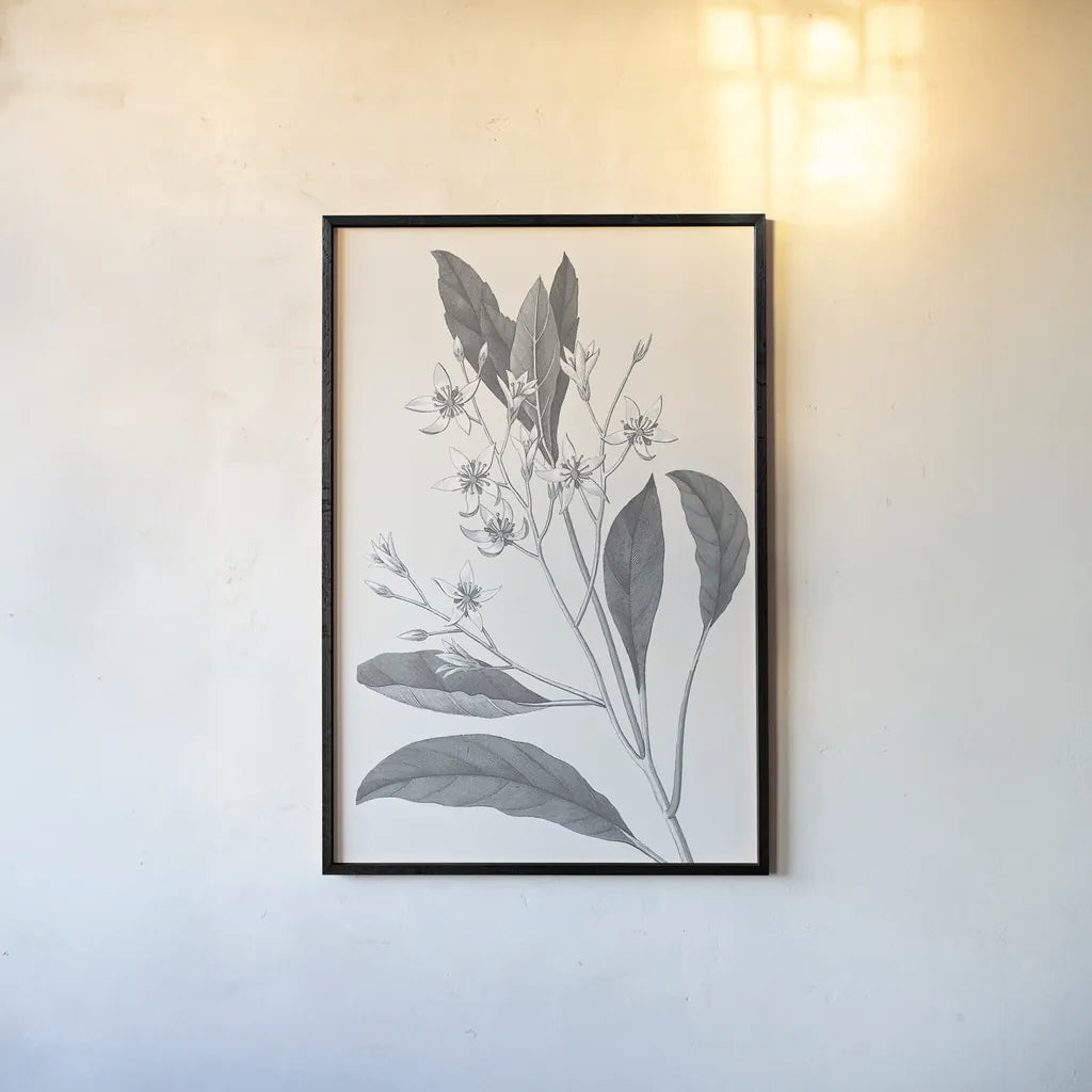 Neutral Botanical V by Wild Apple Portfolio. shown as a paper print in a black flame. Available as a archival giclee rolled canvas, fine art paper, or poster print. SKU 30696h.