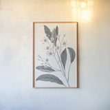 Neutral Botanical V by Wild Apple Portfolio. shown as a paper print in a natural frame. Available as a archival giclee rolled canvas, fine art paper, or poster print. SKU 30696h.