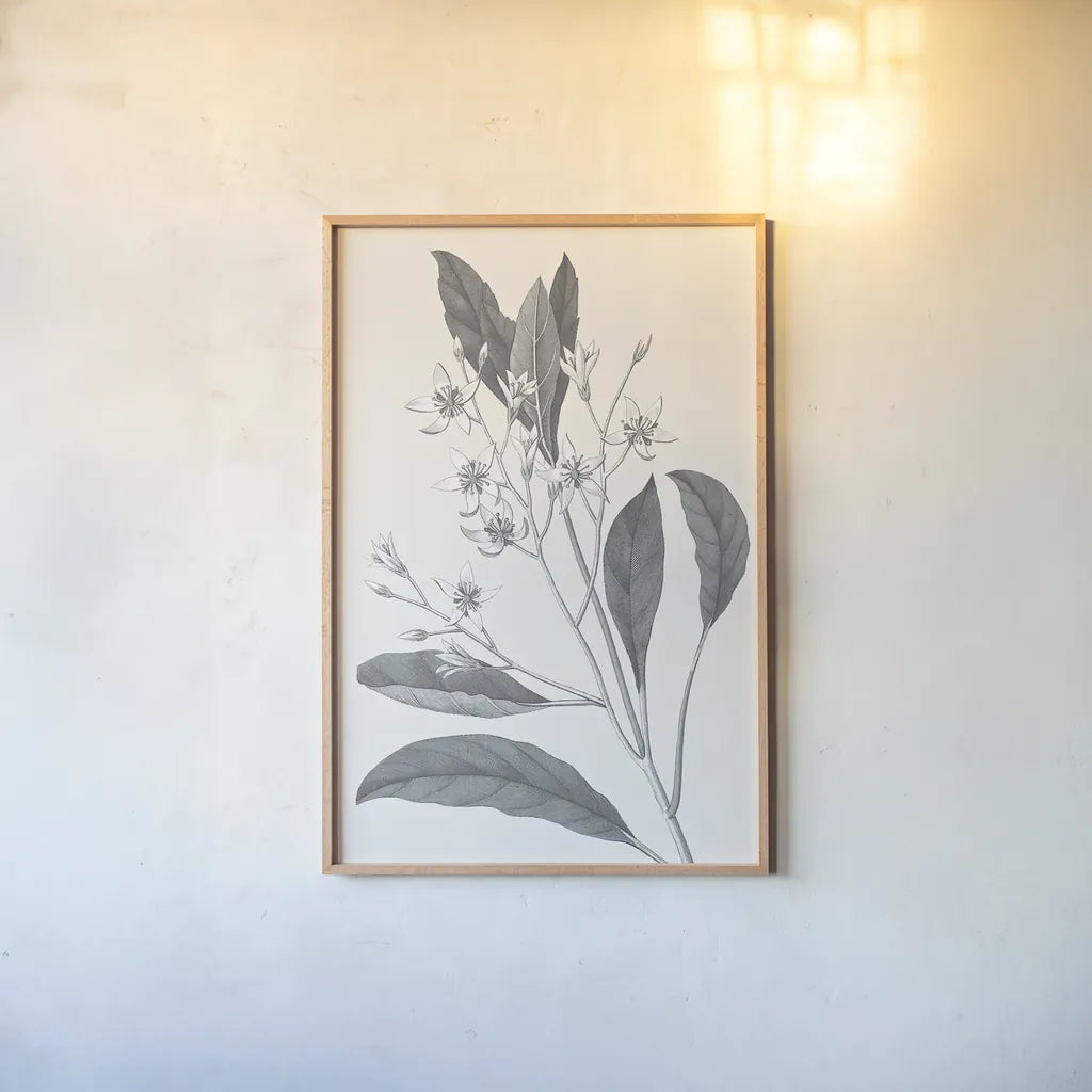 Neutral Botanical V by Wild Apple Portfolio. shown as a paper print in a natural frame. Available as a archival giclee rolled canvas, fine art paper, or poster print. SKU 30696h.