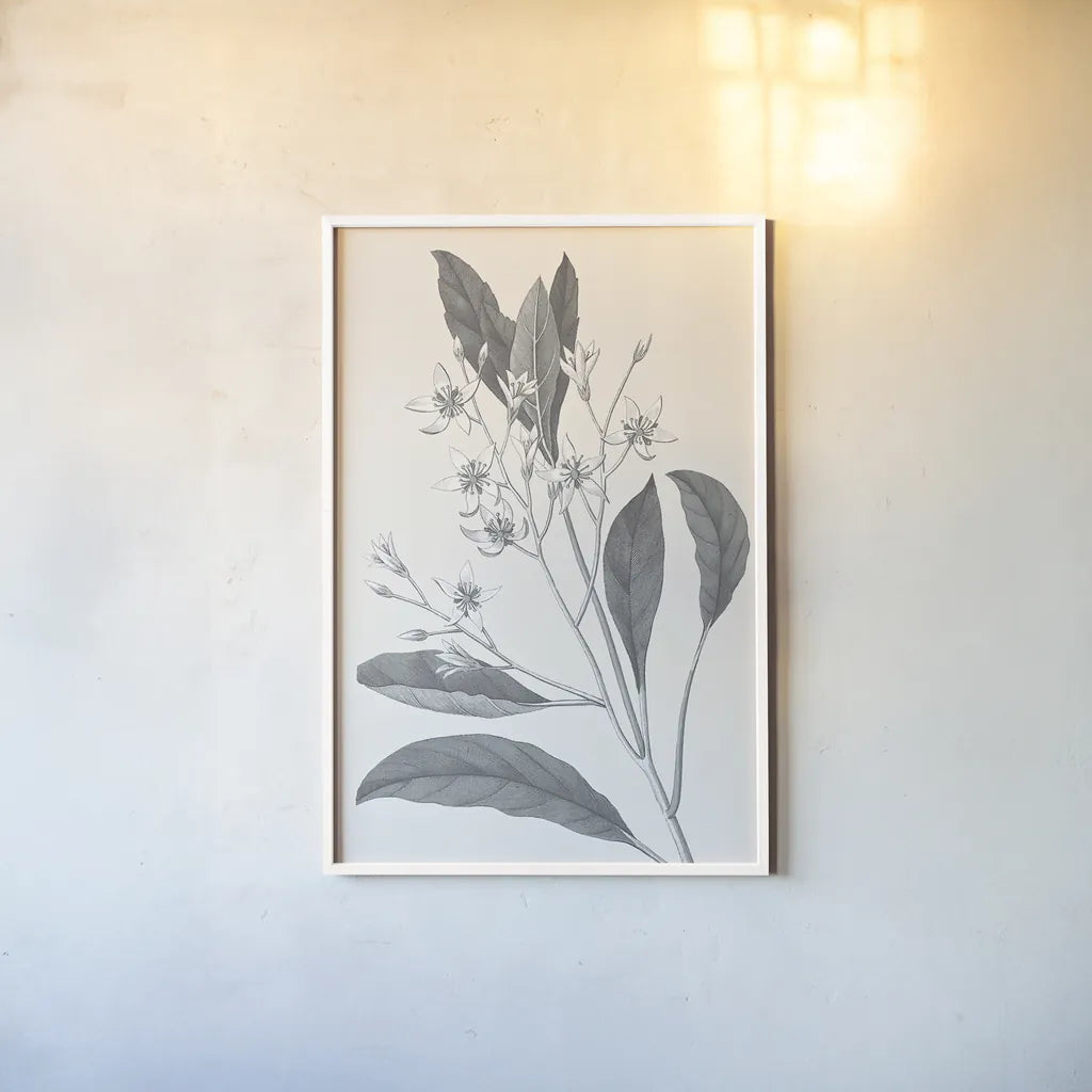 Neutral Botanical V by Wild Apple Portfolio. shown as a paper print in a white frame. Available as a archival giclee rolled canvas, fine art paper, or poster print. SKU 30696h.