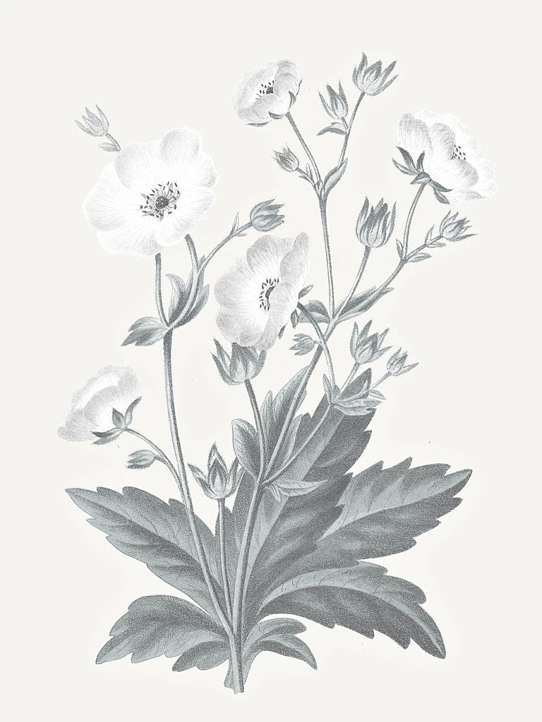 Neutral Botanical VI by Wild Apple Portfolio
