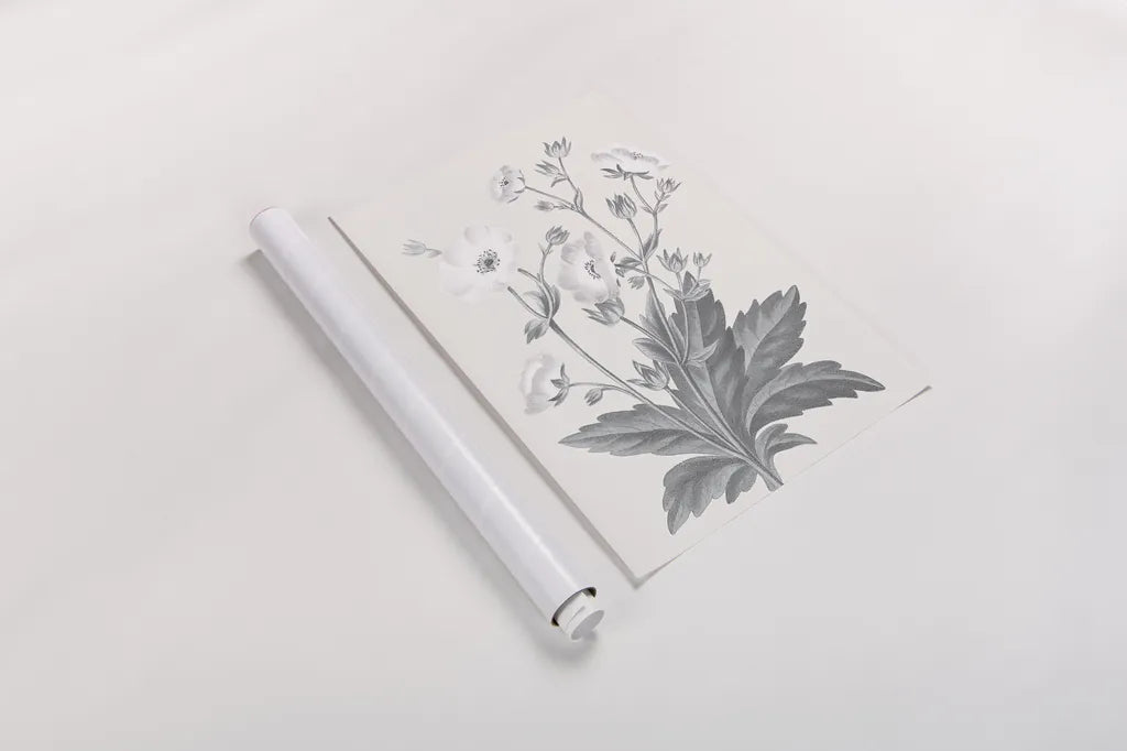 Neutral Botanical VI by Wild Apple Portfolio. shown as a rolled paper print. Available as archival giclee rolled canvas, fine art paper, or poster print. SKU 30697h.