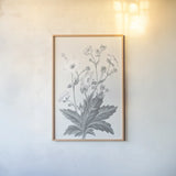 Neutral Botanical VI by Wild Apple Portfolio. shown as a paper print in a natural frame. Available as a archival giclee rolled canvas, fine art paper, or poster print. SKU 30697h.