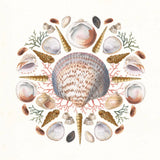 Ocean Mandala I by Wild Apple Portfolio. SKU 35805a. Archival Giclee Fine art print for wall decor.