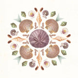 Ocean Mandala II by Wild Apple Portfolio. SKU 35806a. Archival Giclee Fine art print for wall decor.