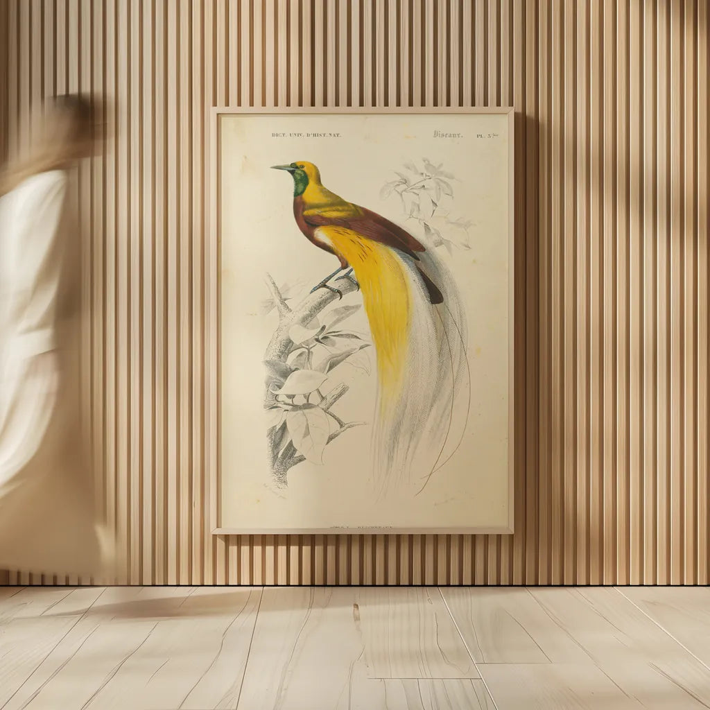 Oiseaux de Paradis by Wild Apple Portfolio. shown as over sized large wall art. Available as an archival giclee rolled canvas, fine art paper, or poster print. SKU 52059h.