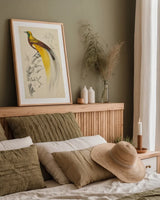 Oiseaux de Paradis by Wild Apple Portfolio. shown as a paper print in a natural frame. Available as a archival giclee rolled canvas, fine art paper, or poster print. SKU 52059h.